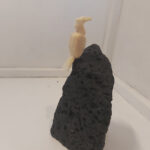 Skarfur / Cormorants