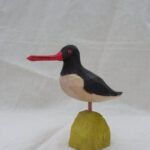 Tjaldur / Eurasian Oystercatcher